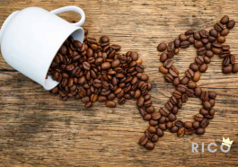 Conheça o café mais caro do planeta (custa 10 mil dólares o quilo)