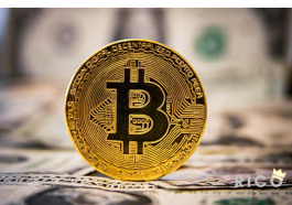 Compras feitas com Bitcoin eleitas as mais estranhas