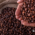 Café mais caro do mundo: R$ 160 mil o quilo bateu recorde mundial