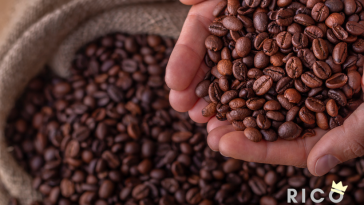 Café mais caro do mundo: R$ 160 mil o quilo bateu recorde mundial