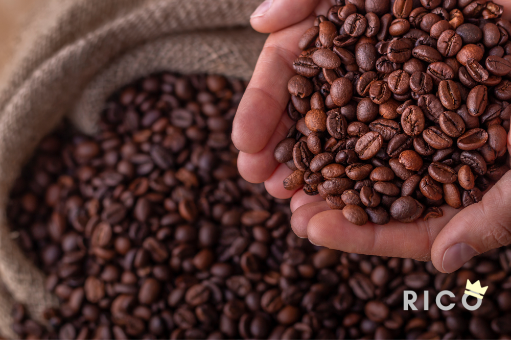 Café mais caro do mundo: R$ 160 mil o quilo bateu recorde mundial